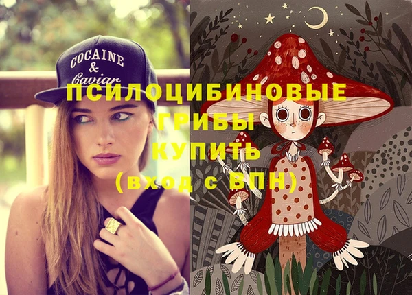 метамфетамин Снежинск